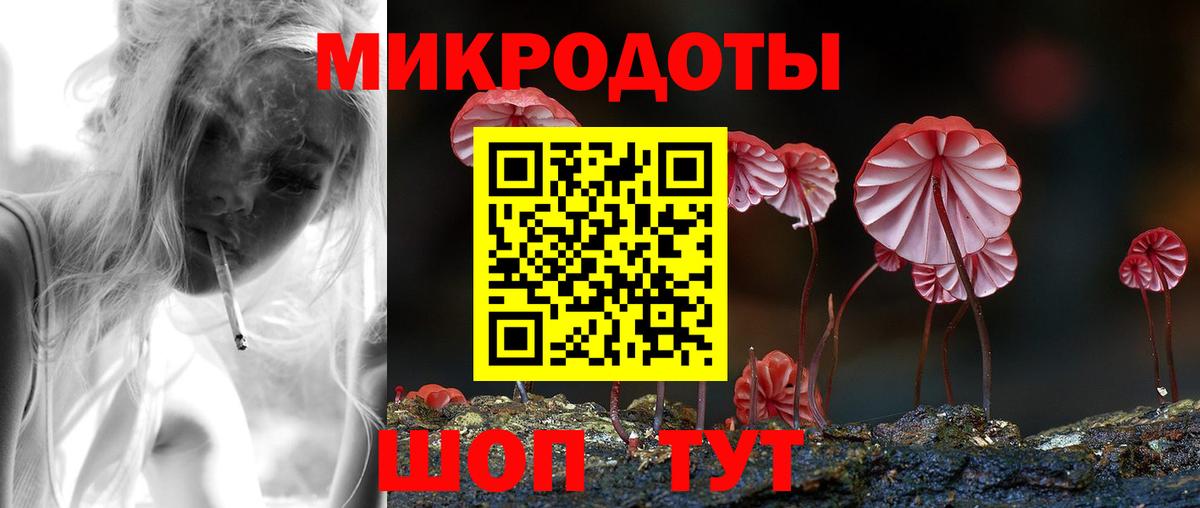Галлюциногенные грибы Cubensis Горячий Ключ